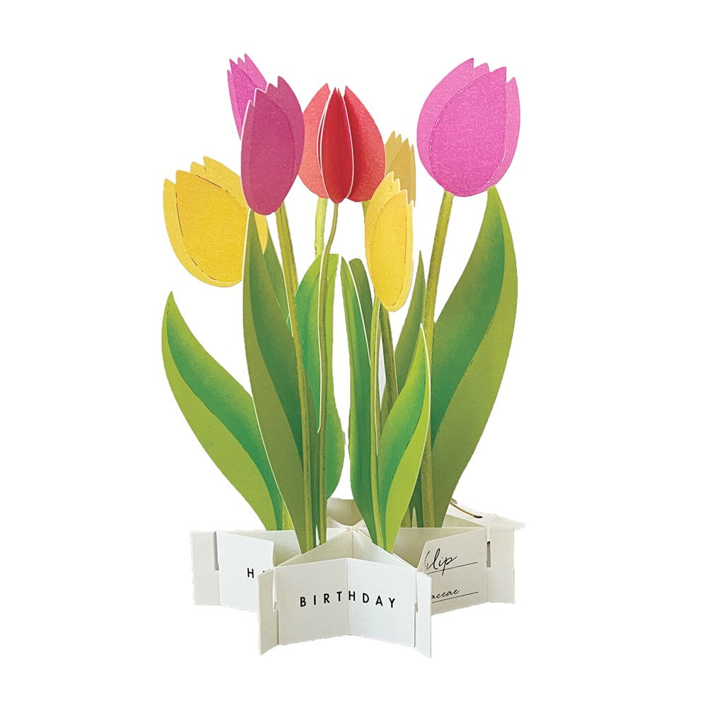 Birthday Blooming Pop-Up Card - Tulip