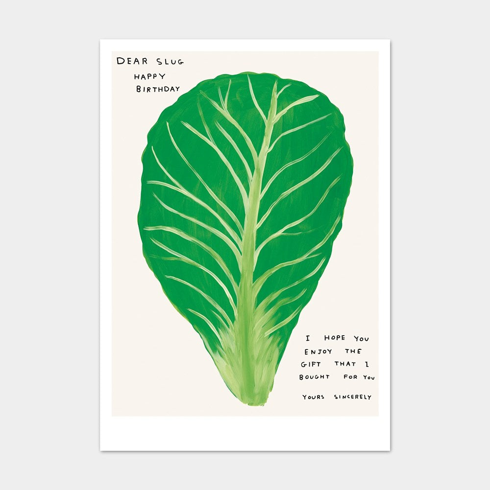 Dear Slug, Happy Birthday Lettuce Postcard (14.8 x 21cm) x David Shrigley
