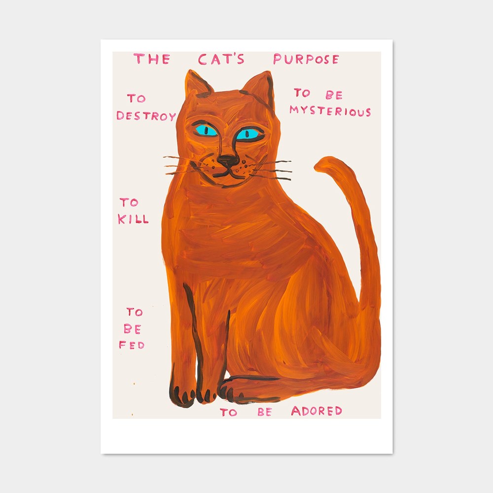 The Cat's Purpose Postcard (14.8 x 21cm) x David Shrigley