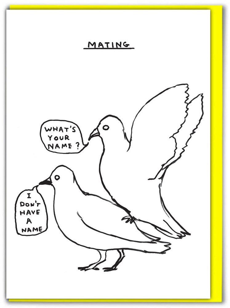 Mating Pigeons Card x David Shrigley