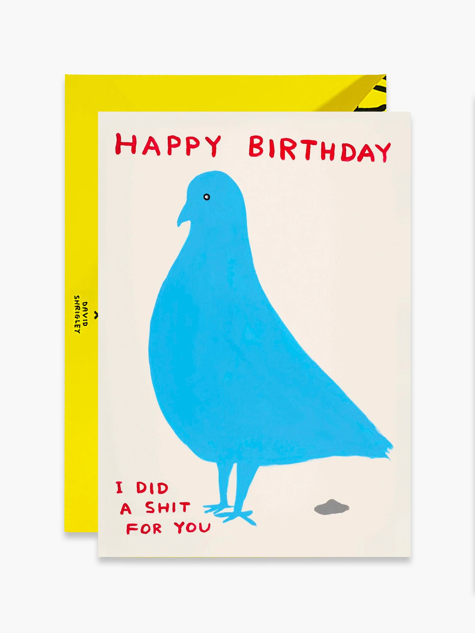 Pigeon Birthday Shit Card x David Shrigley