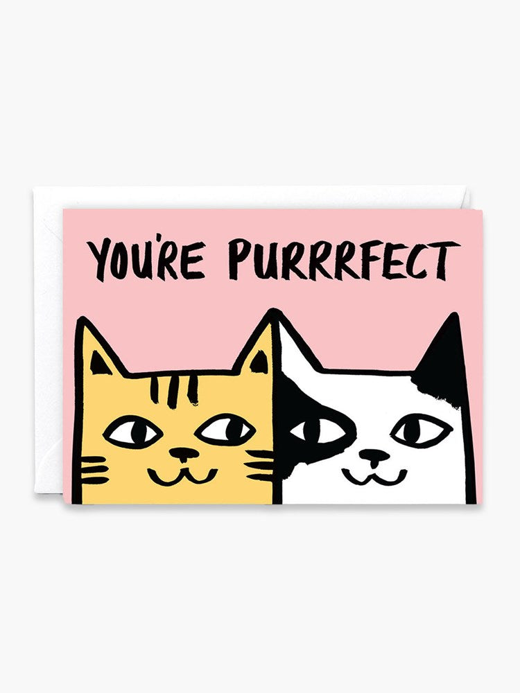 You're Purrrfect Card x Alice Bowsher