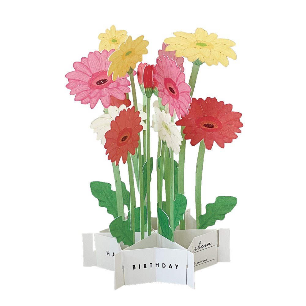 Birthday Blooming Pop-Up Card - Gerbera