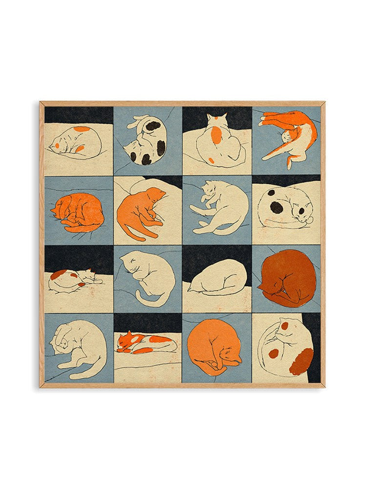Sleeping Cat by Eniko Eged (50x50cm)