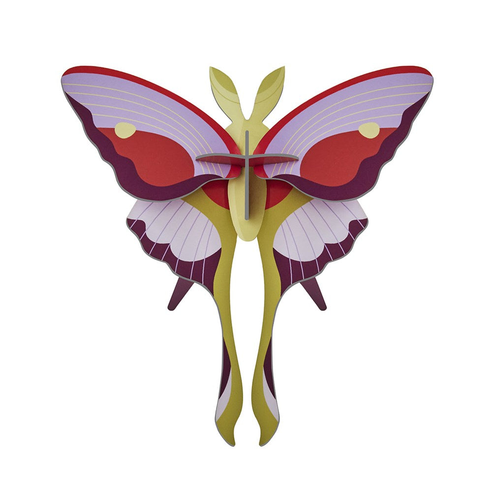 Cardboard Wall Art - Lilac Comet Butterfly (B7)