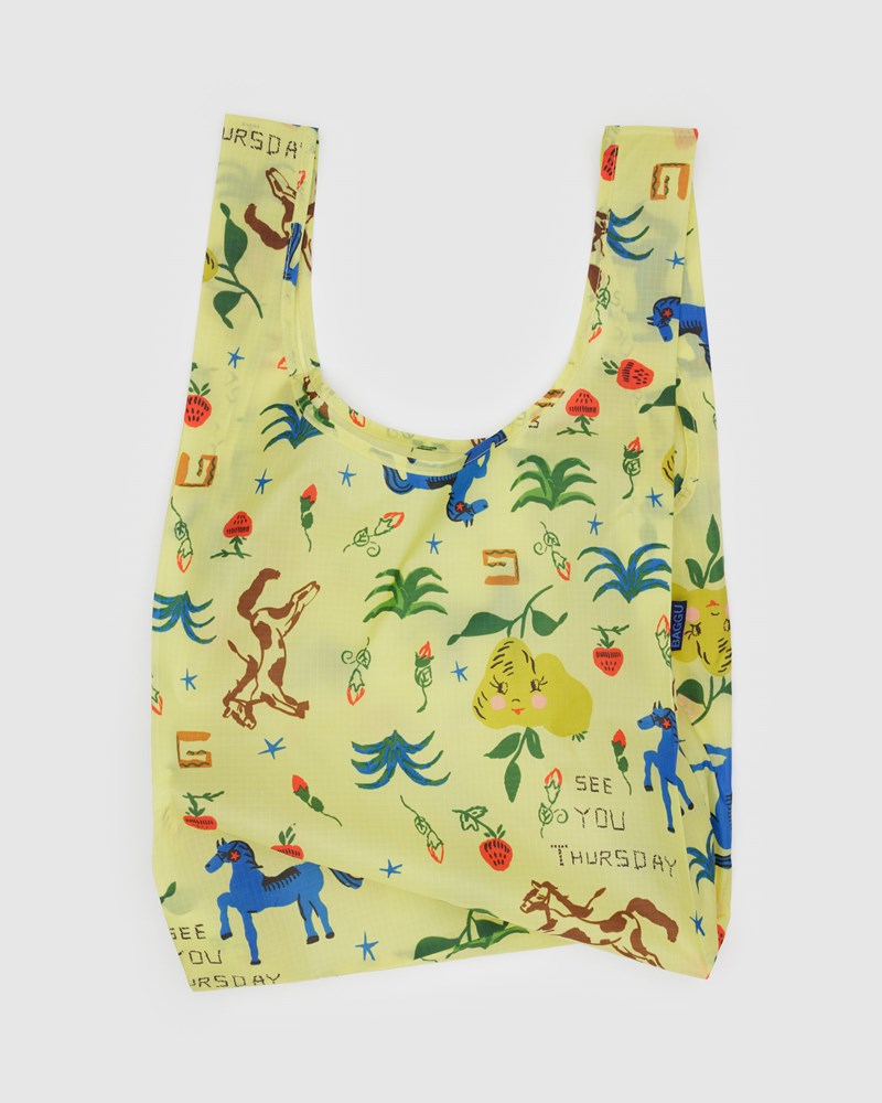 Standard Baggu - Painted Prairie