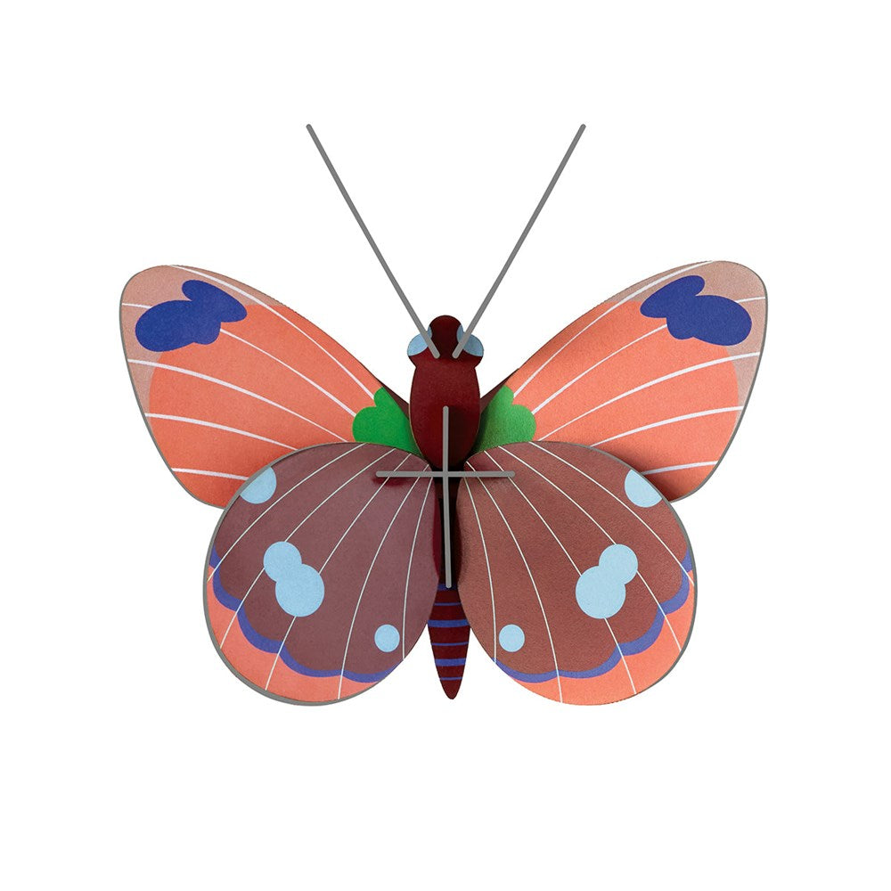 Cardboard Wall Art - Delias Butterfly (B7)