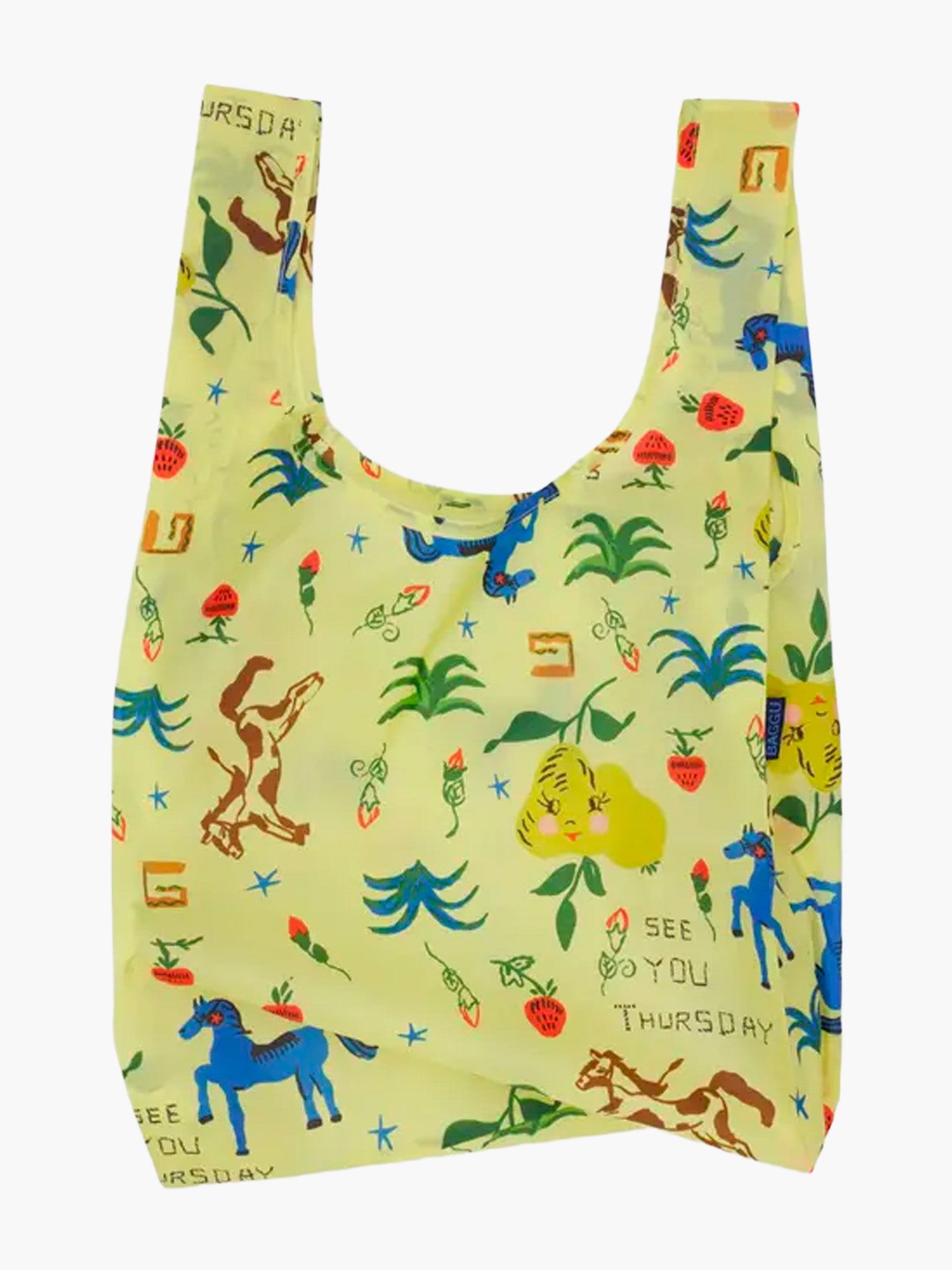 Standard Baggu - Painted Prairie