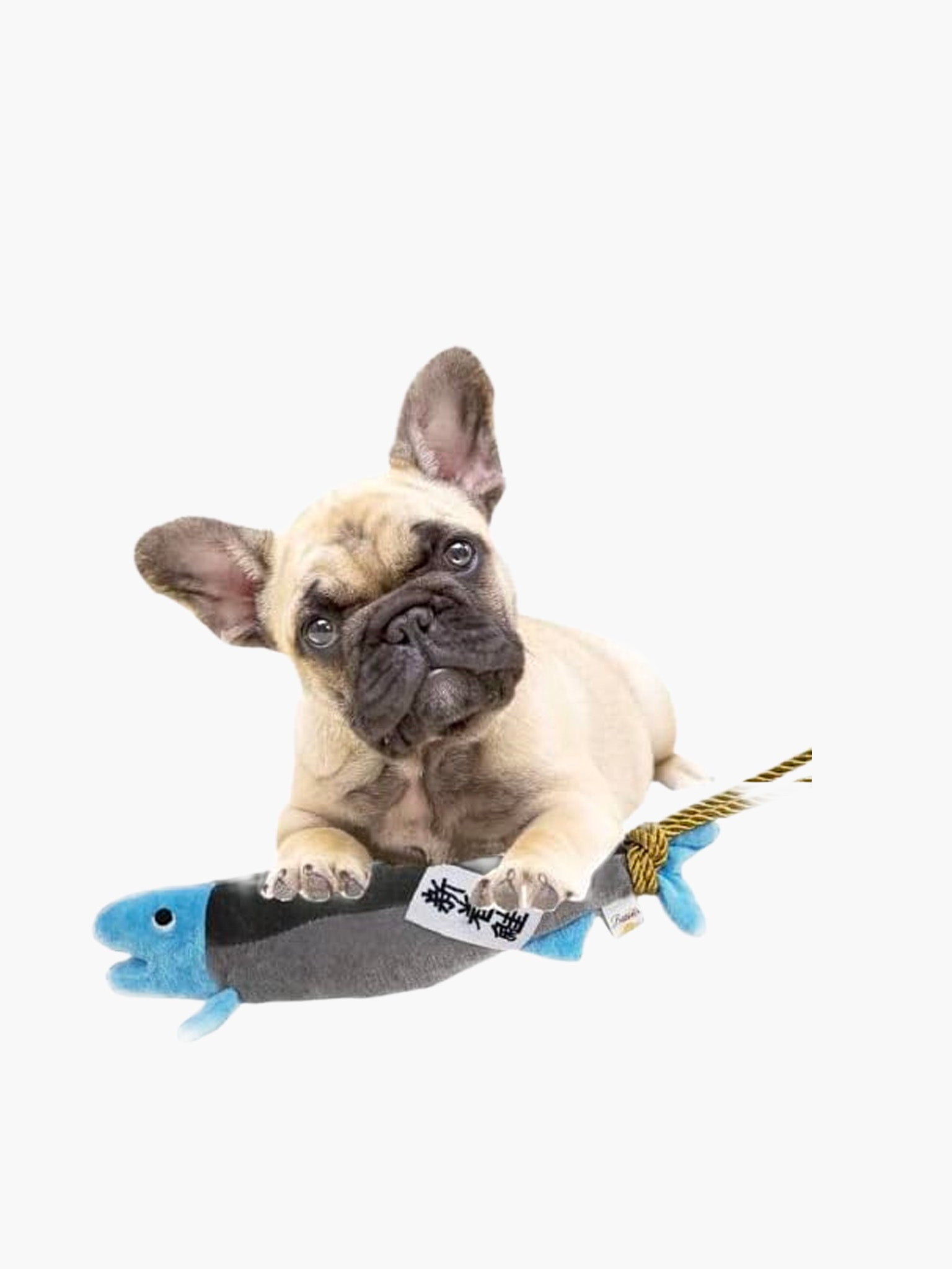 LOVE PETS Dog Toy Salmon – Hands