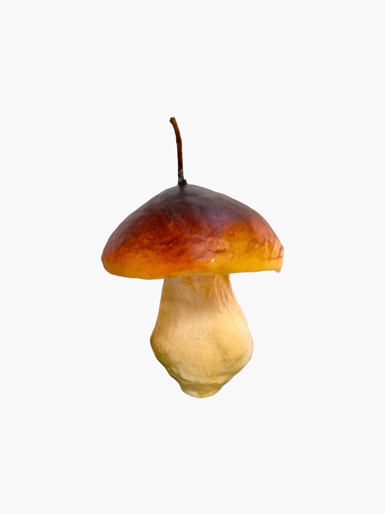 Mushroom Candle