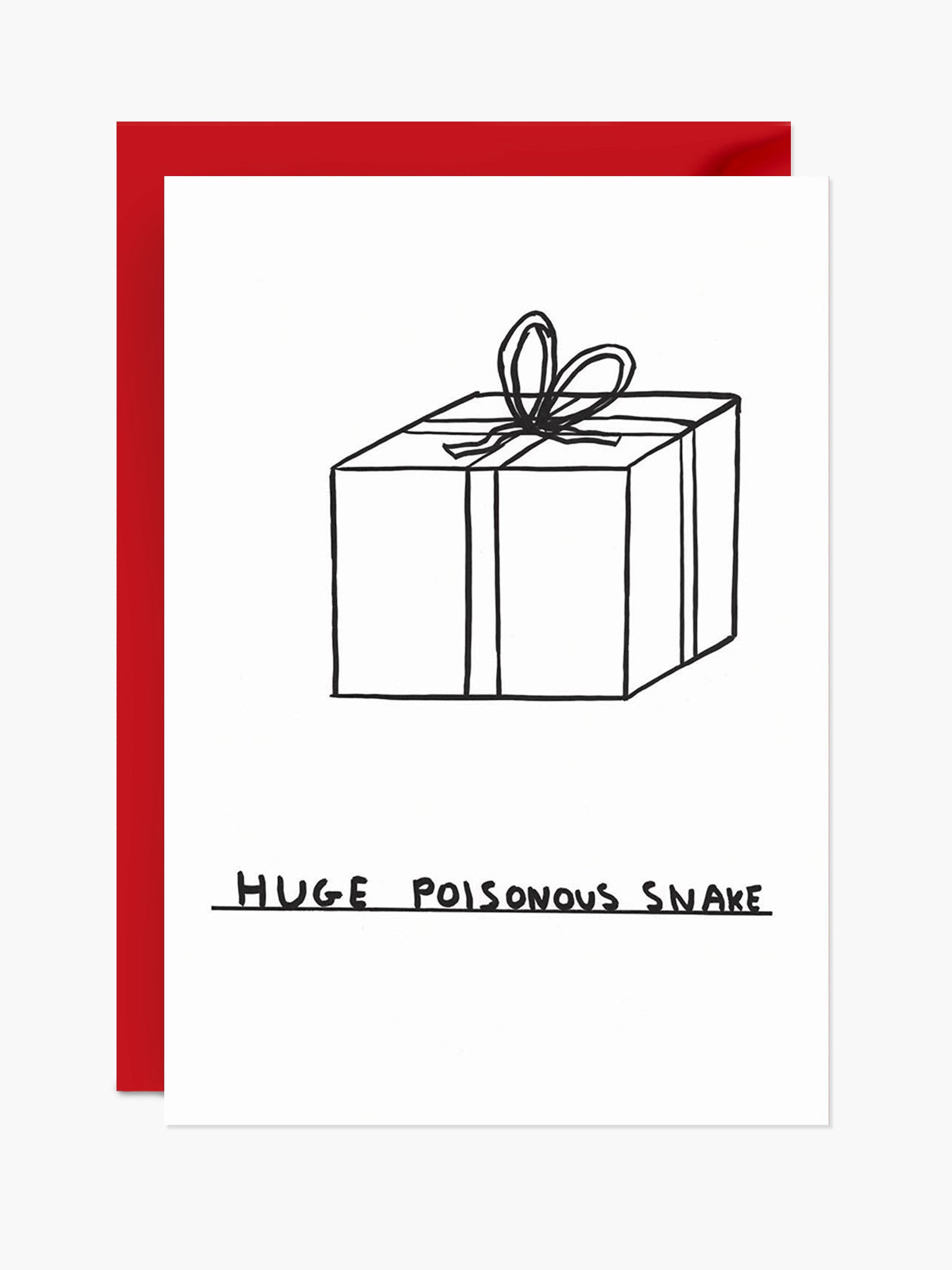 Huge Poisonous Snake Card x David Shrigley