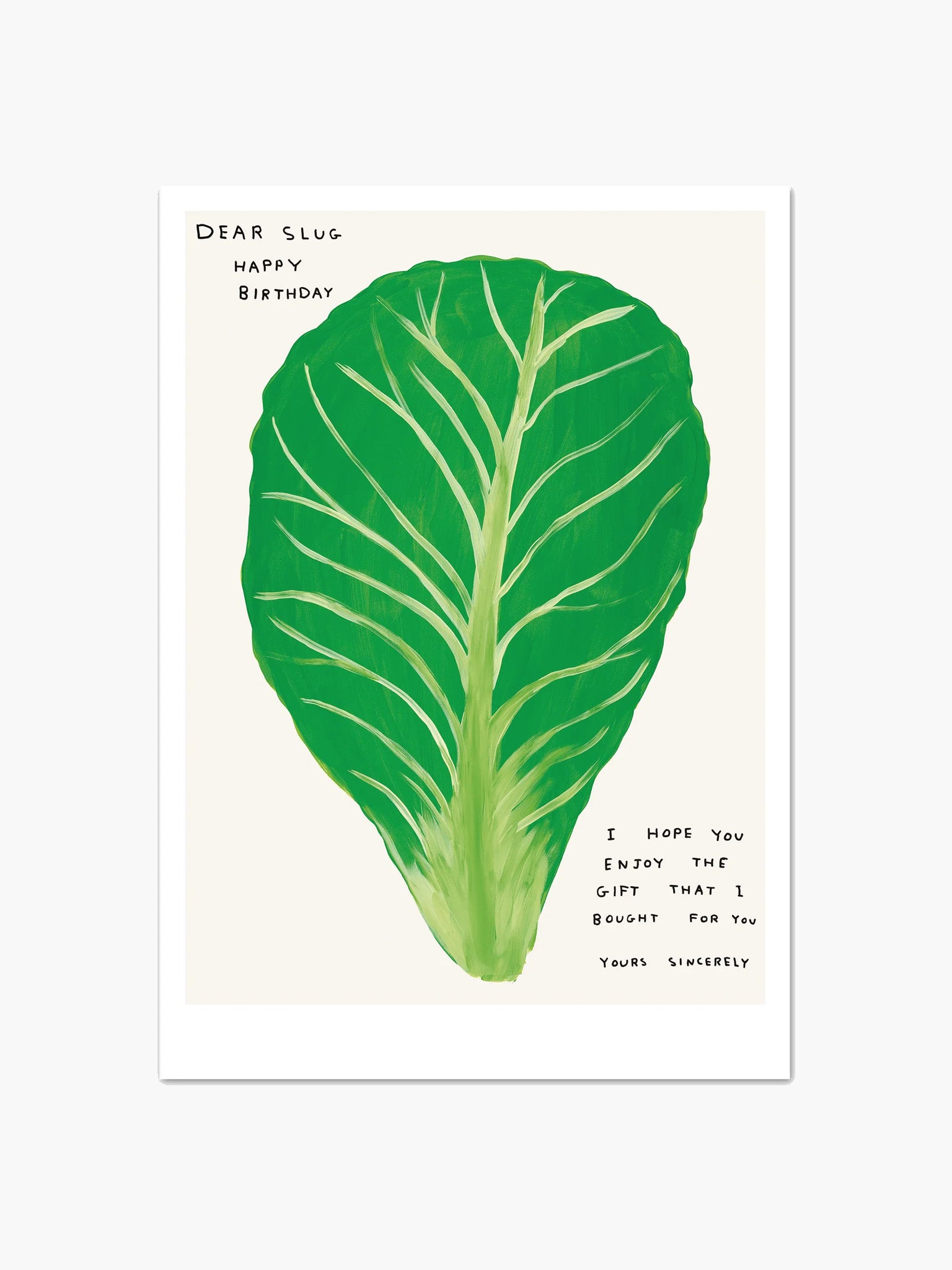 Dear Slug, Happy Birthday Lettuce Postcard (A5) x David Shrigley