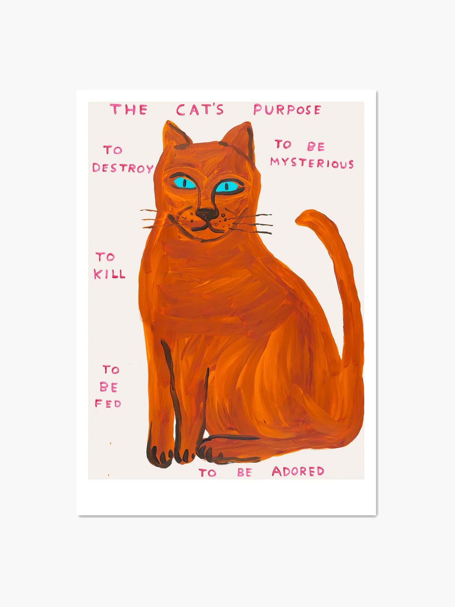 The Cat's Purpose Postcard (A5) x David Shrigley