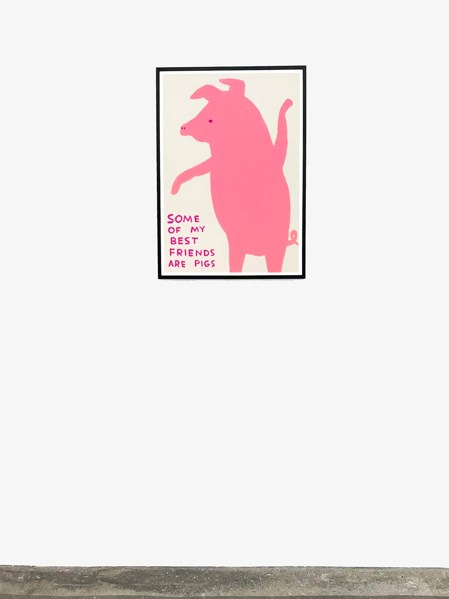 【新品輸入ポスター】デイヴィッドシュリグリー　ピンクのブタ 新品】David Shrigley ポスター some of my best friends are pigs