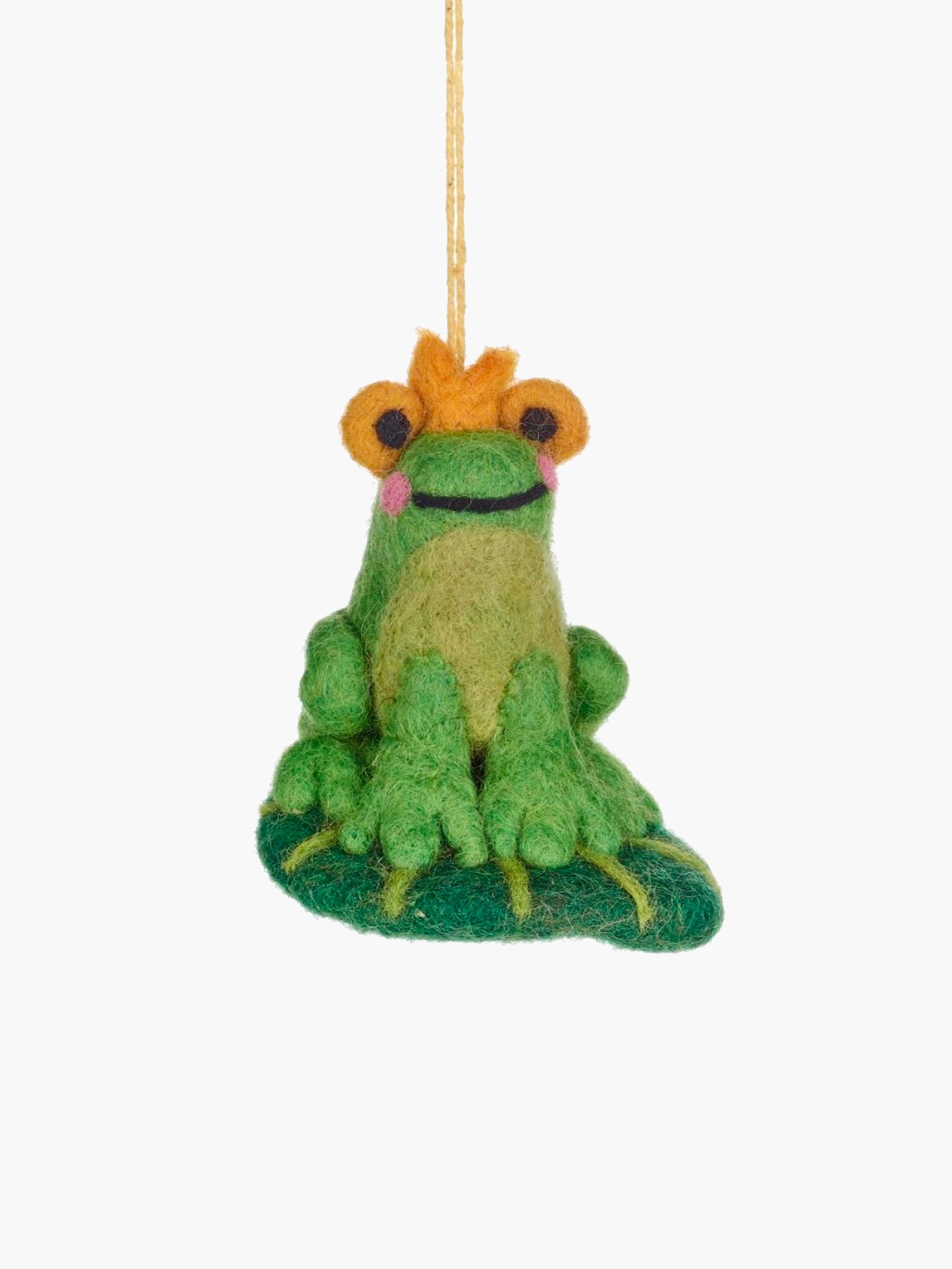 Prince the Fairy-Tale Frog Ornament