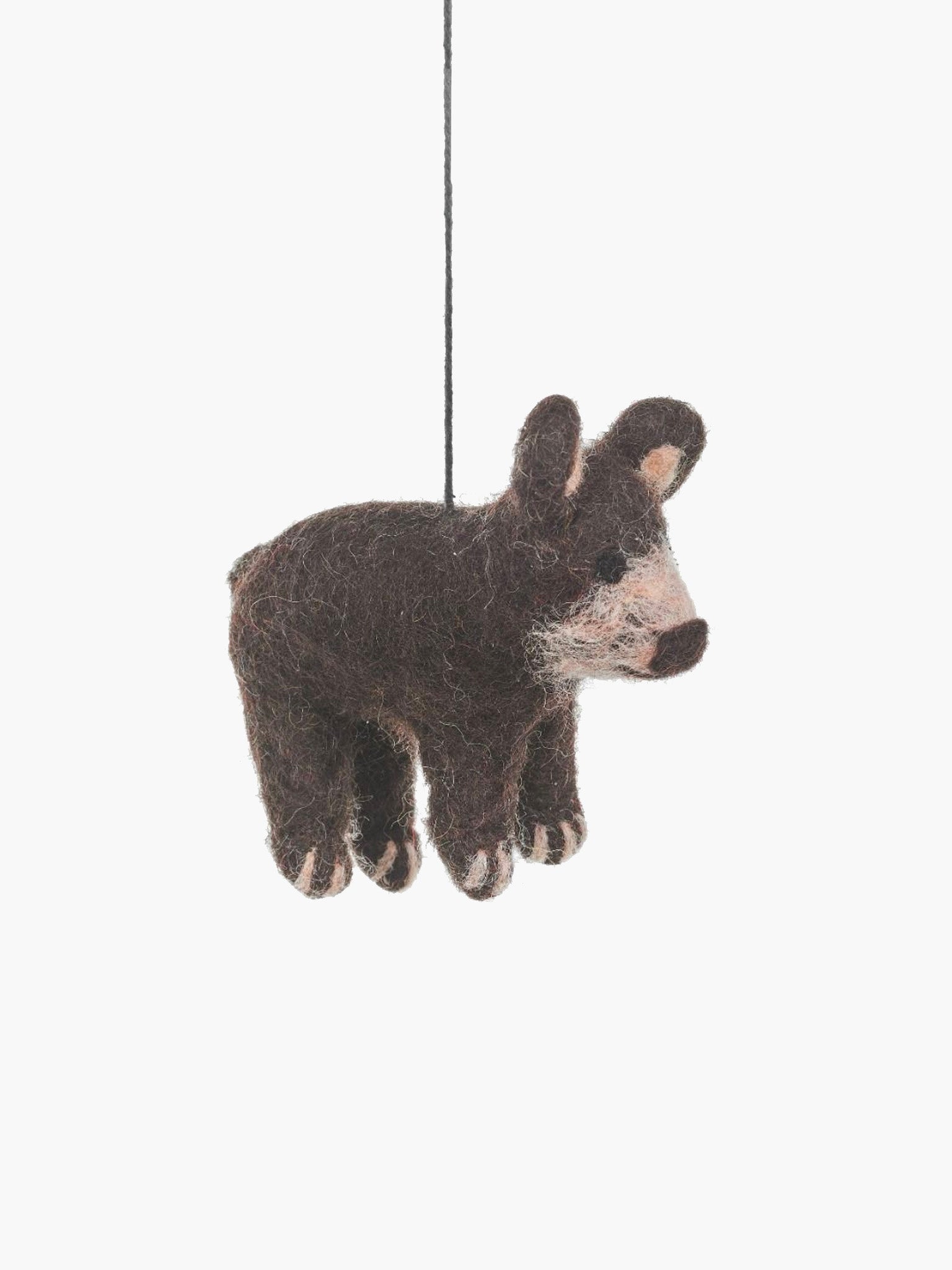 Teddy the Bear Ornament