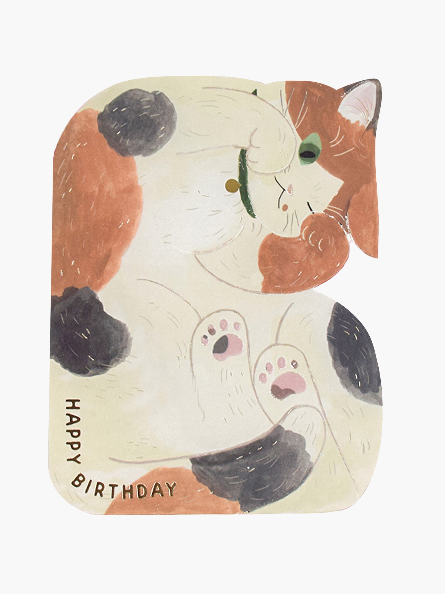 Cuddled Cat Birthday Card - Calico Cat