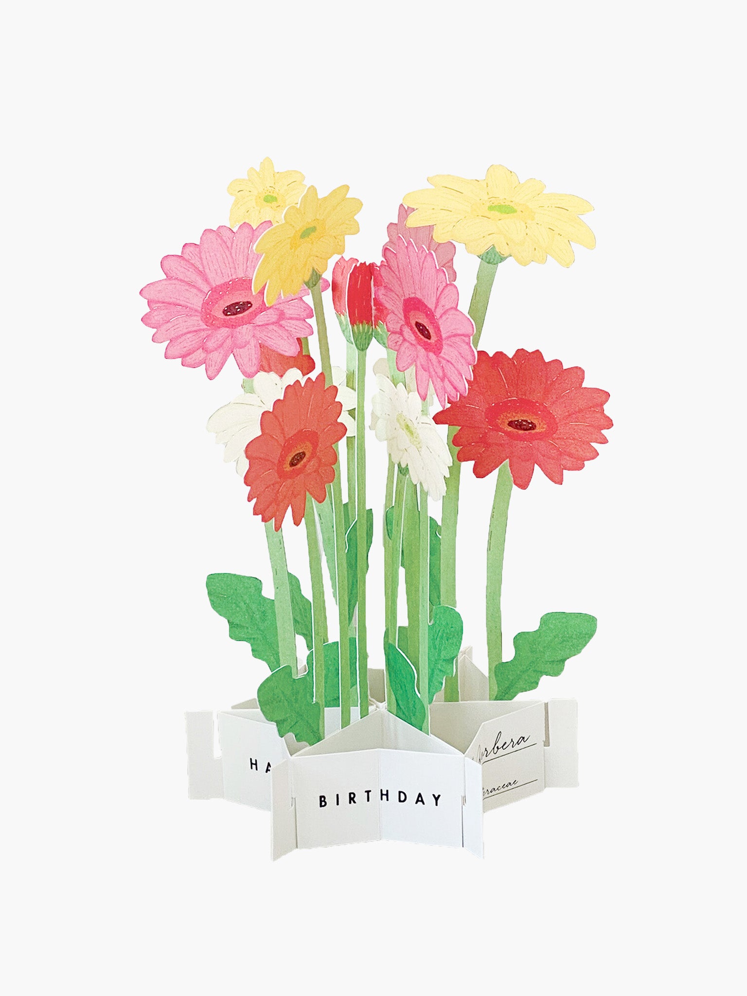 Birthday Blooming Pop-Up Card - Gerbera
