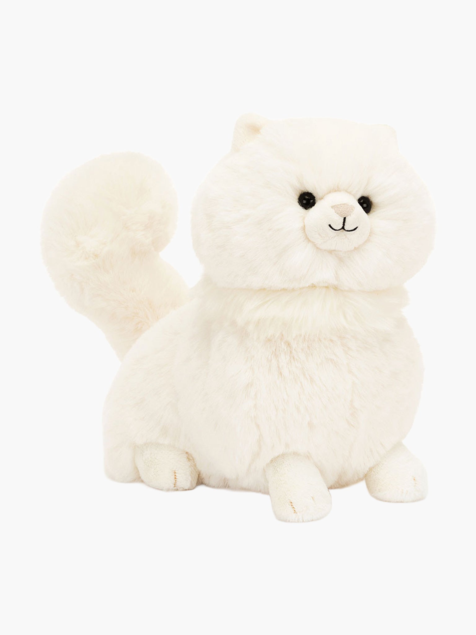 Carissa Persian Cat