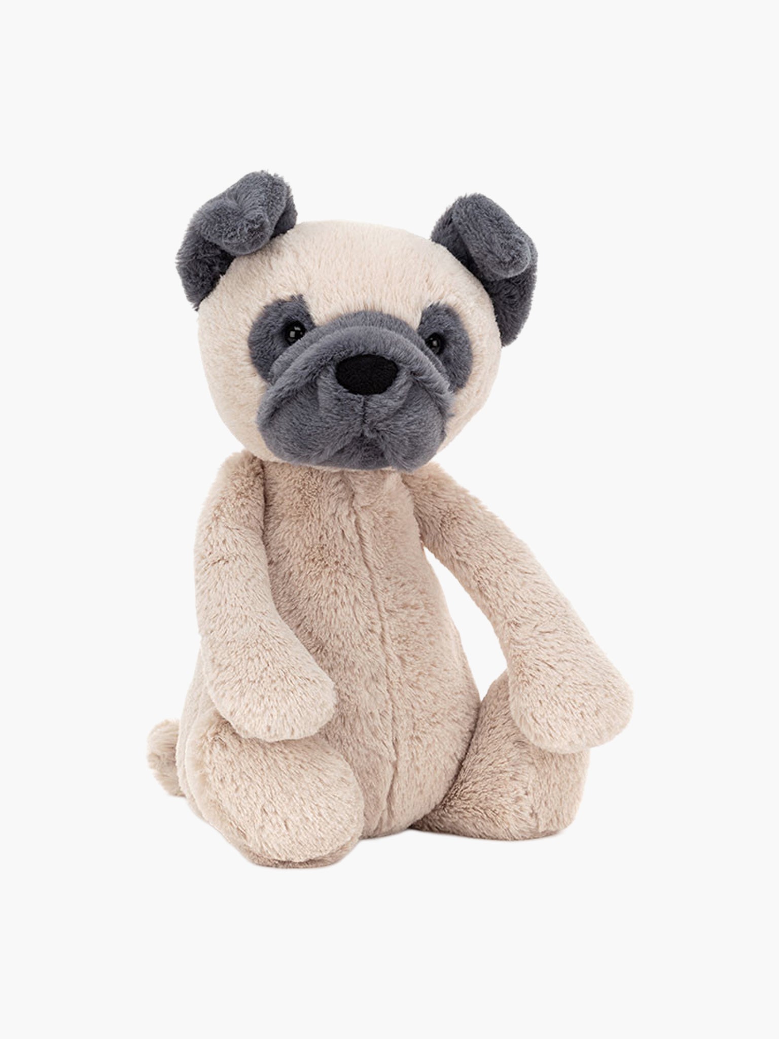Bashful Pug