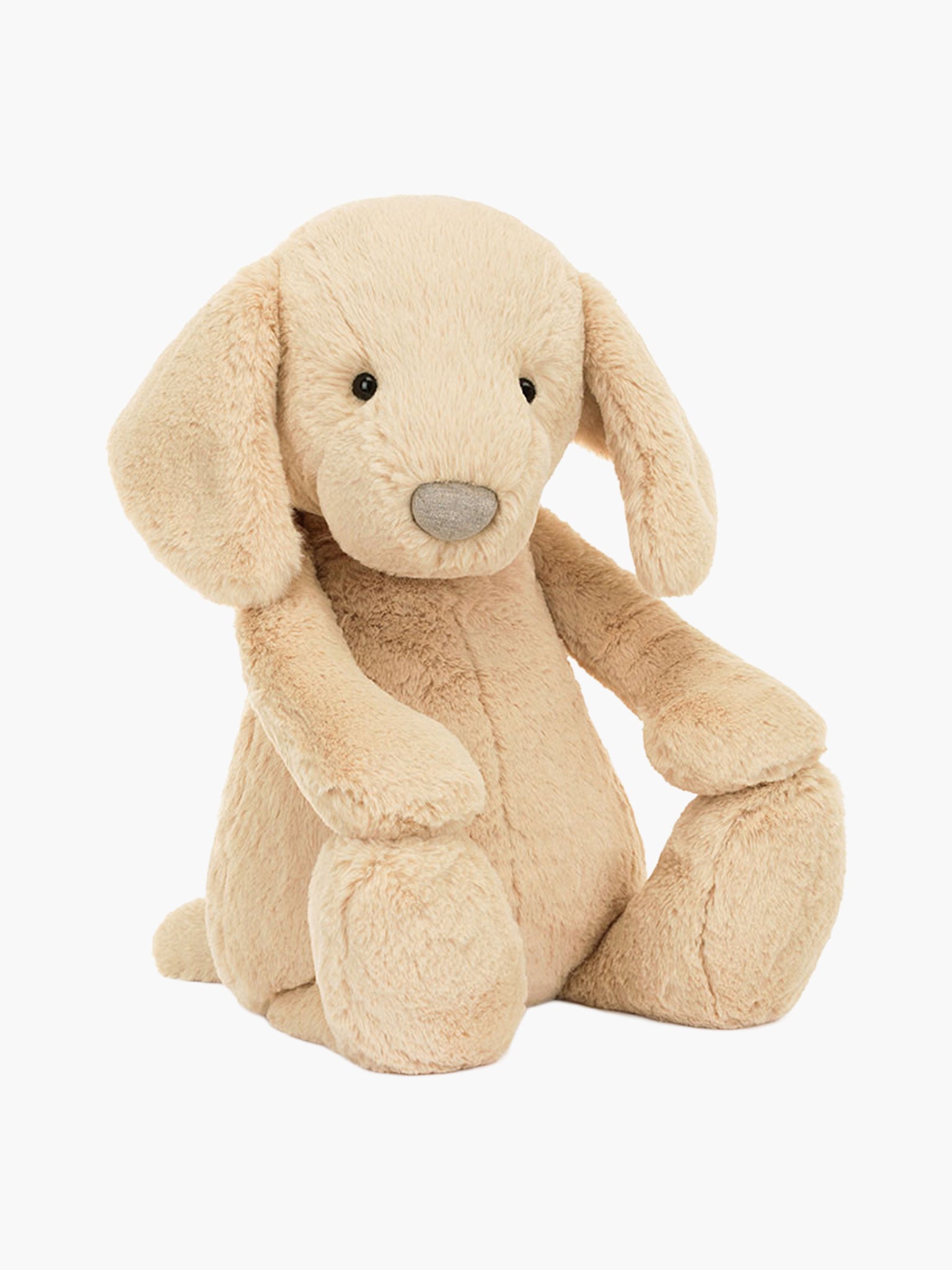 Bashful Luxe Puppy Orlando