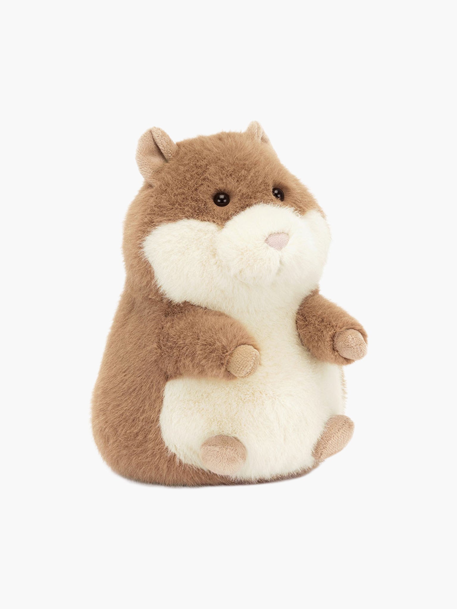 Gordy Guinea Pig