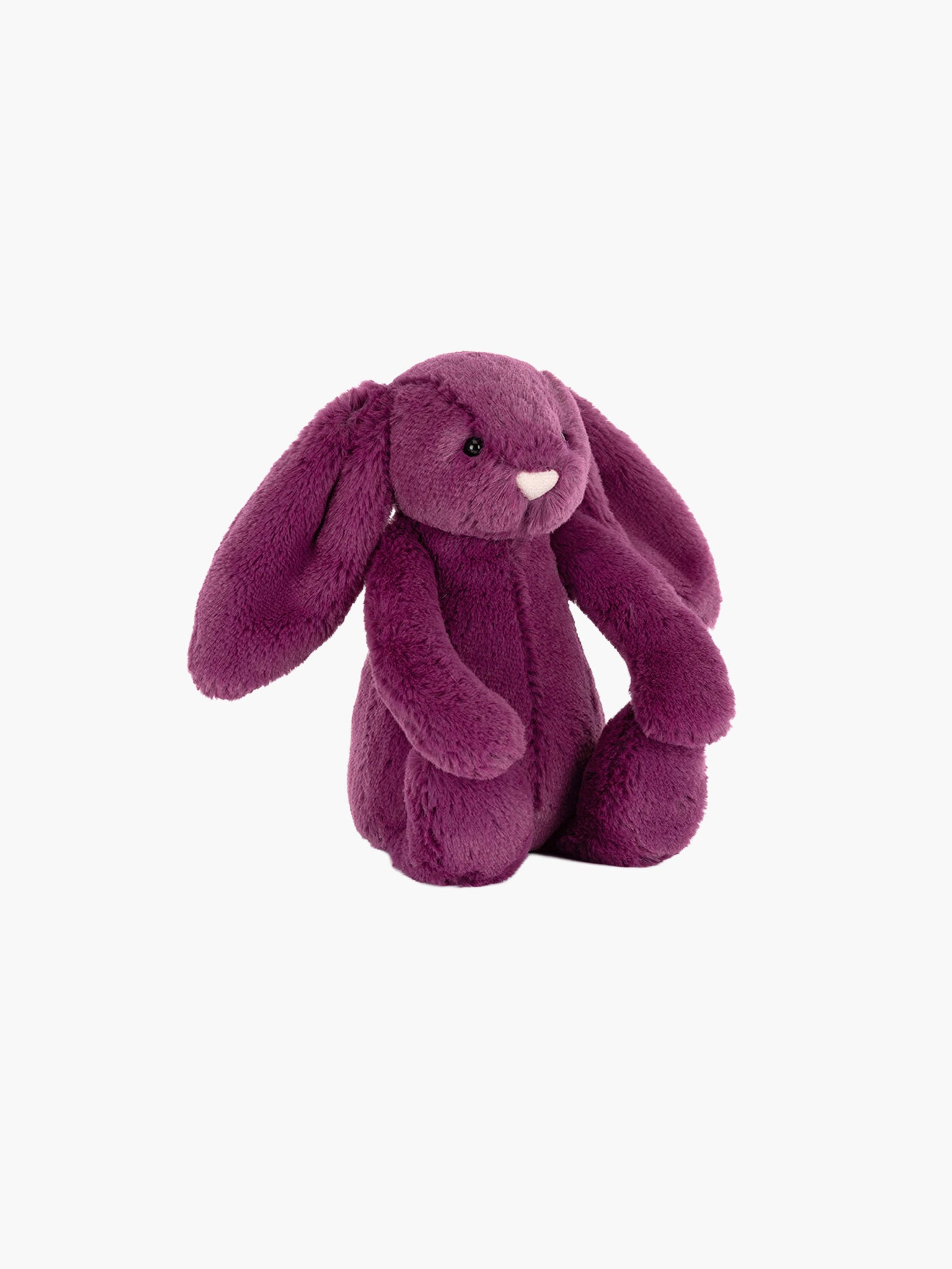 Bashful Allium Bunny - Little