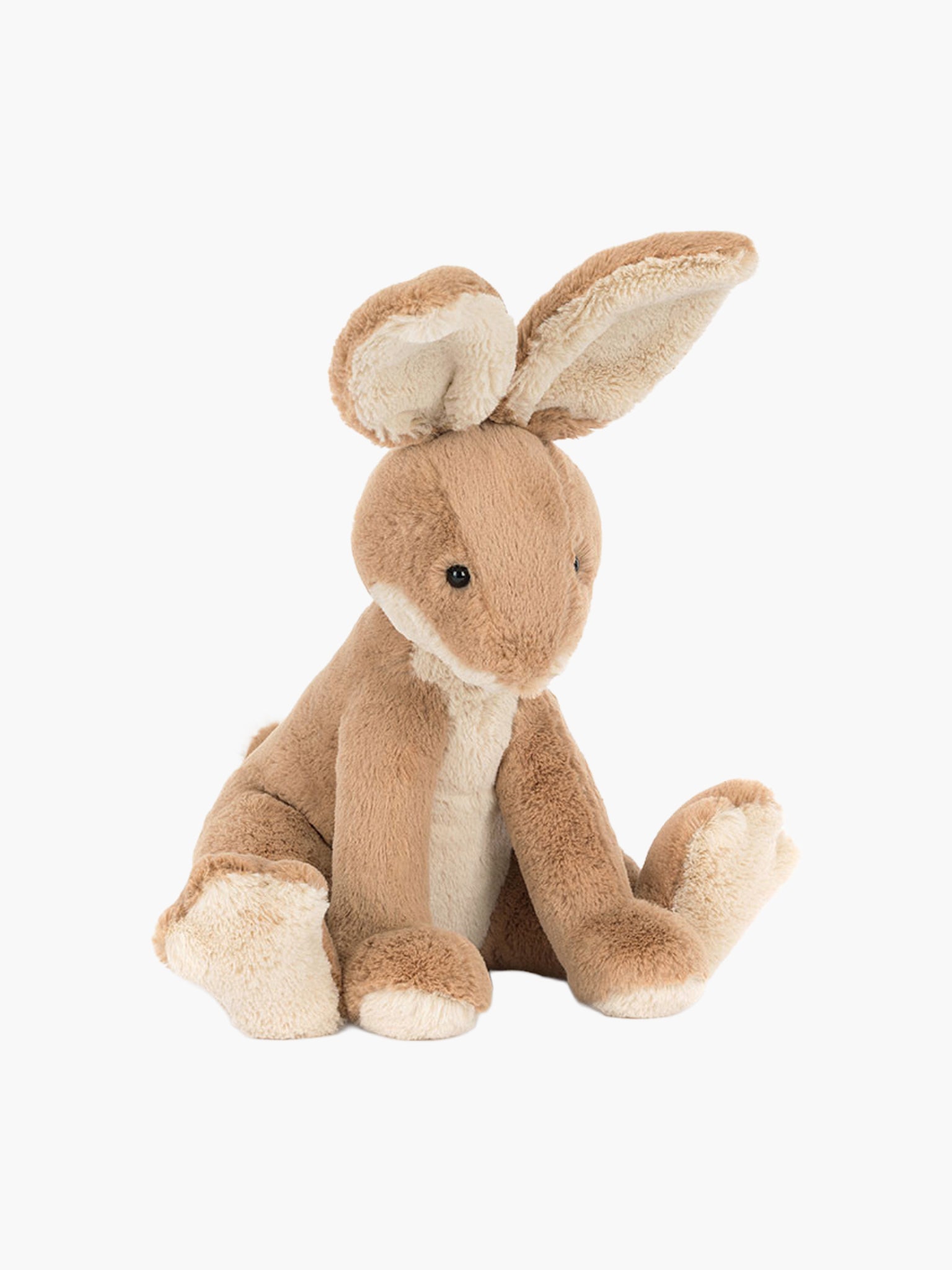 Horticus Hare