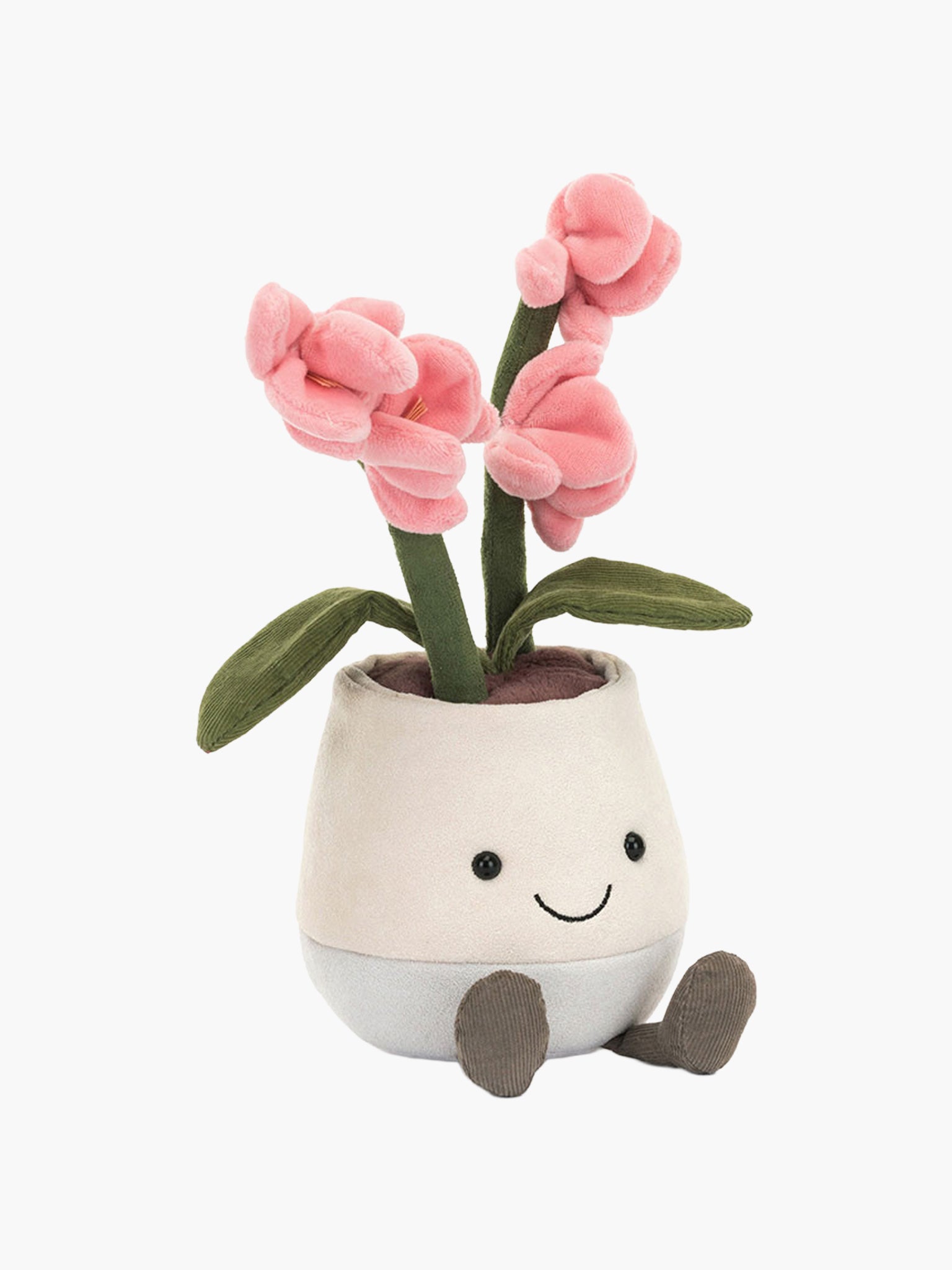 Amusable Pink Orchid