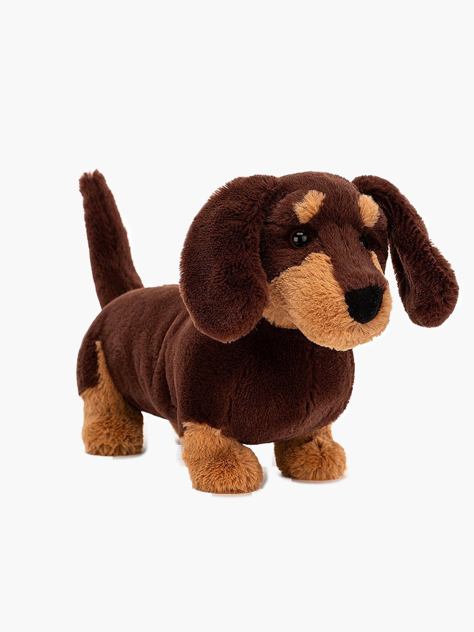 Otto Sausage Dog- M