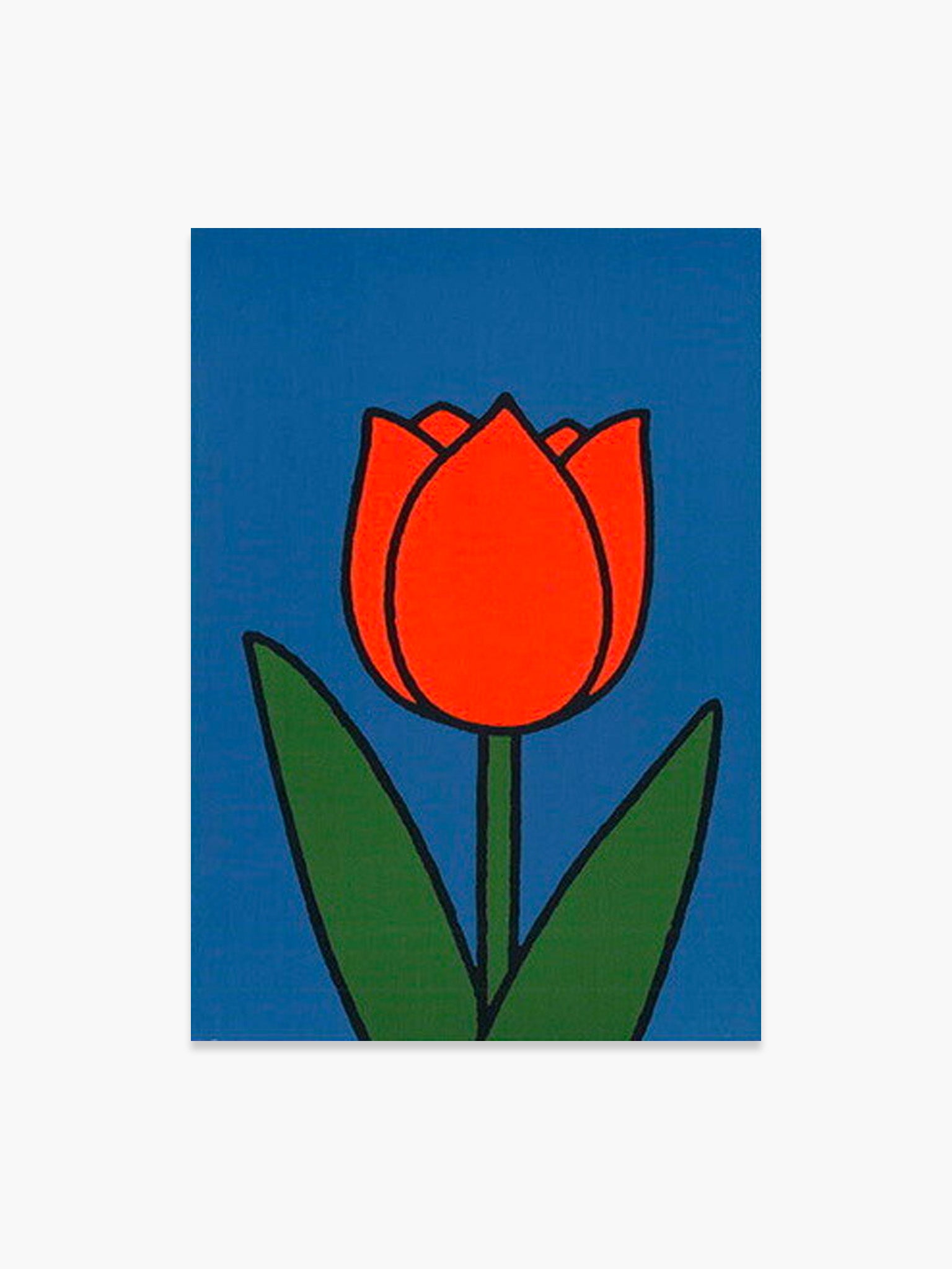 Miffy Postcard - Red Tulip