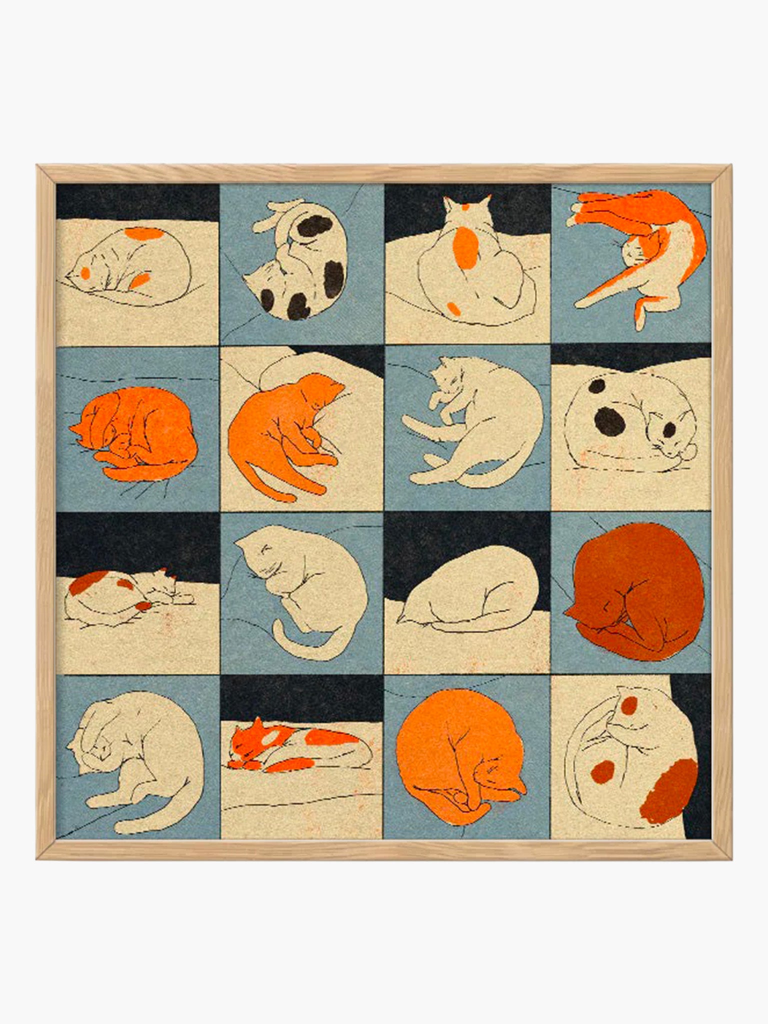 Sleeping Cat by Eniko Eged (50x50cm)