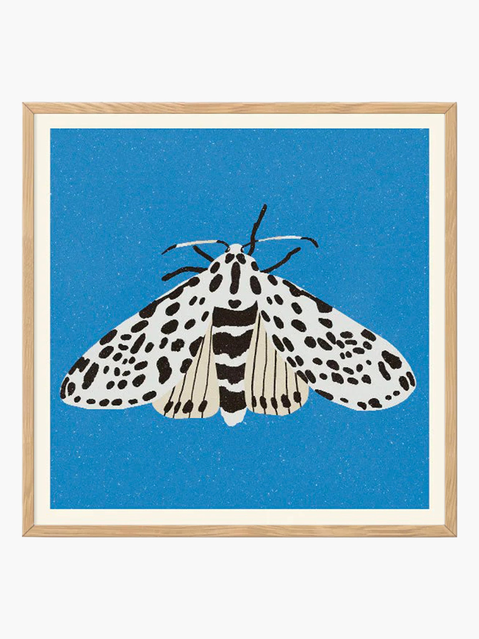 Tiger Moth by Eniko Eged (50x50cm)