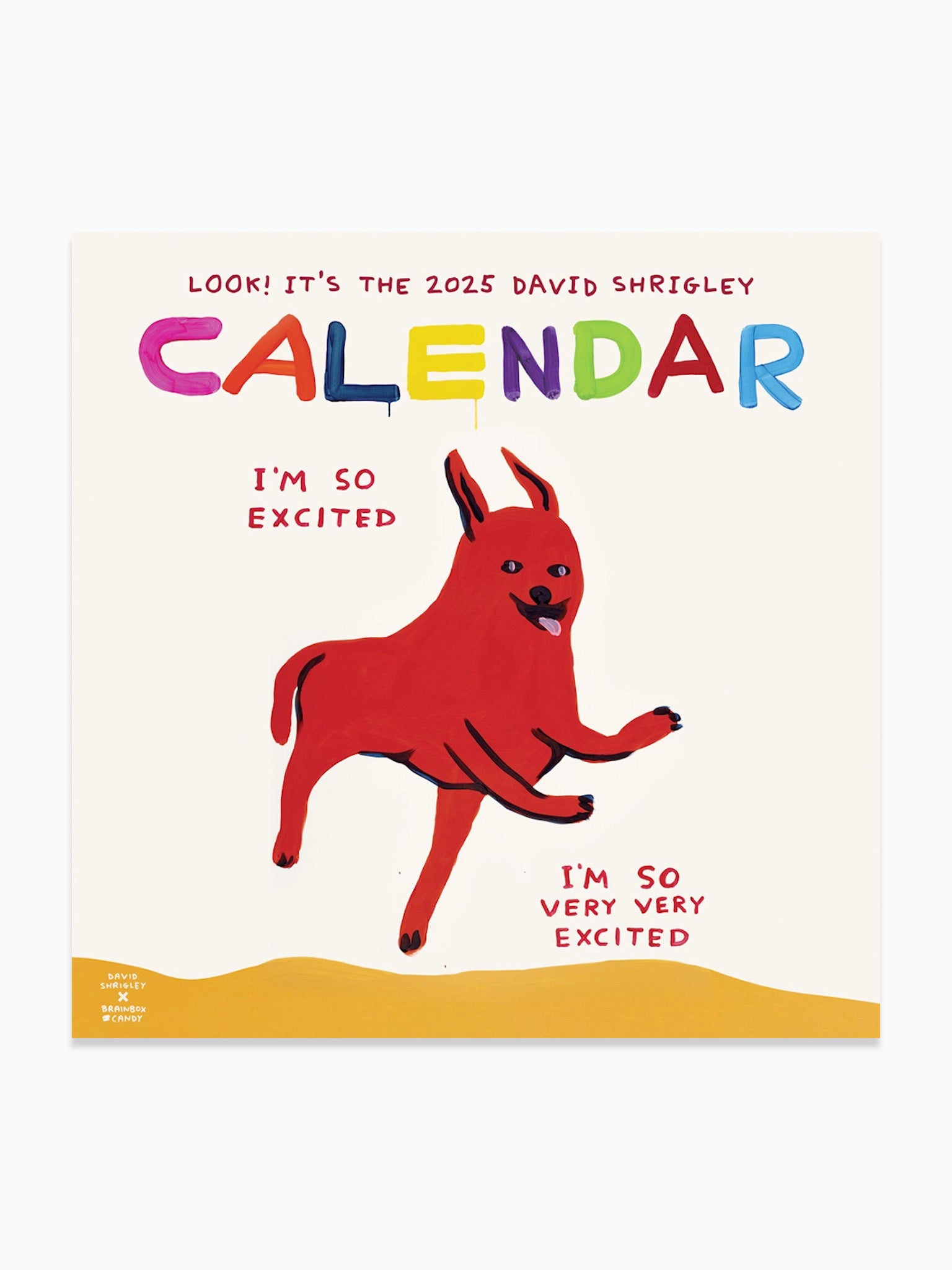 David Shrigley 2025 Calendar