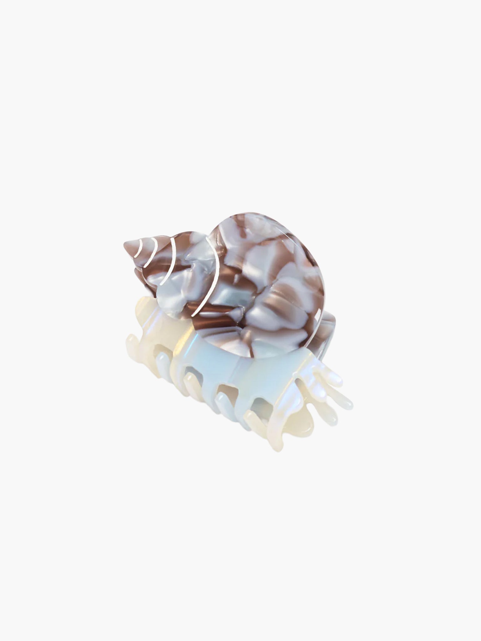Blue Whelk Sea Snail Claw