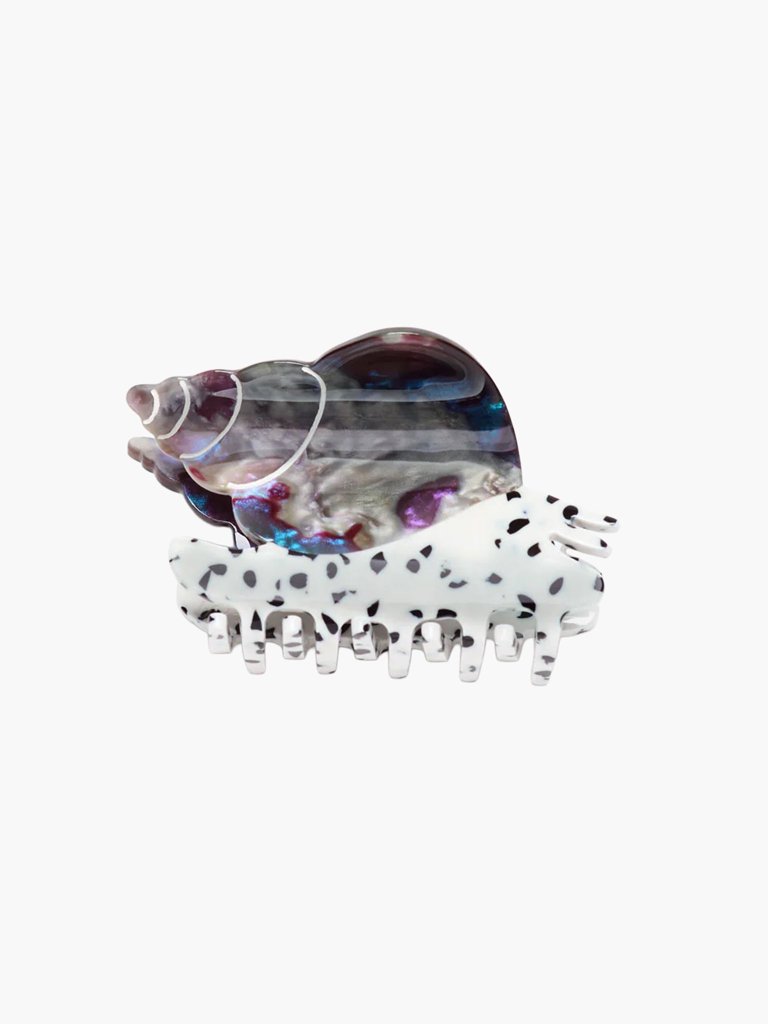 Spotted Whelk Claw