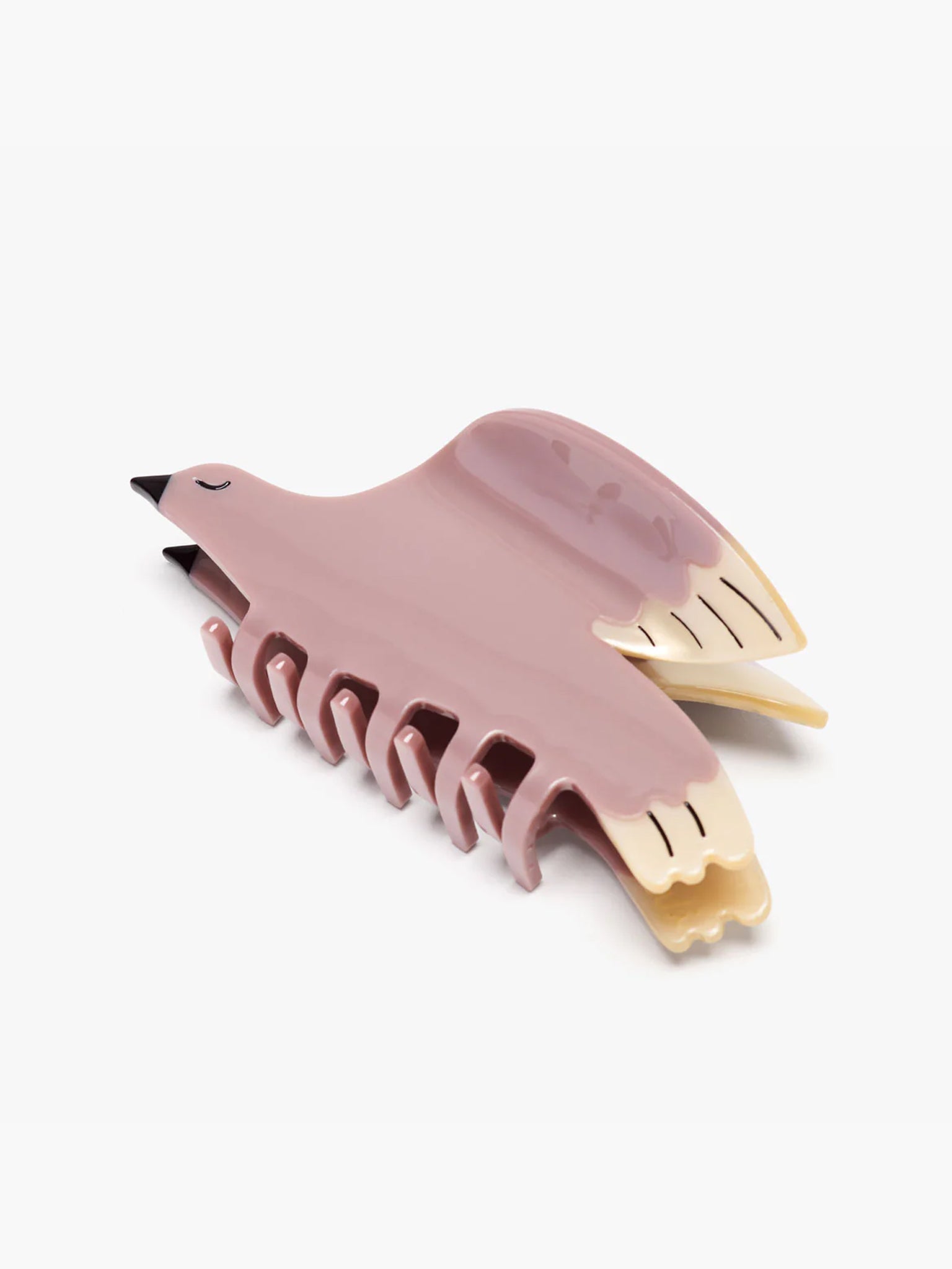 White Wing Dove Claw