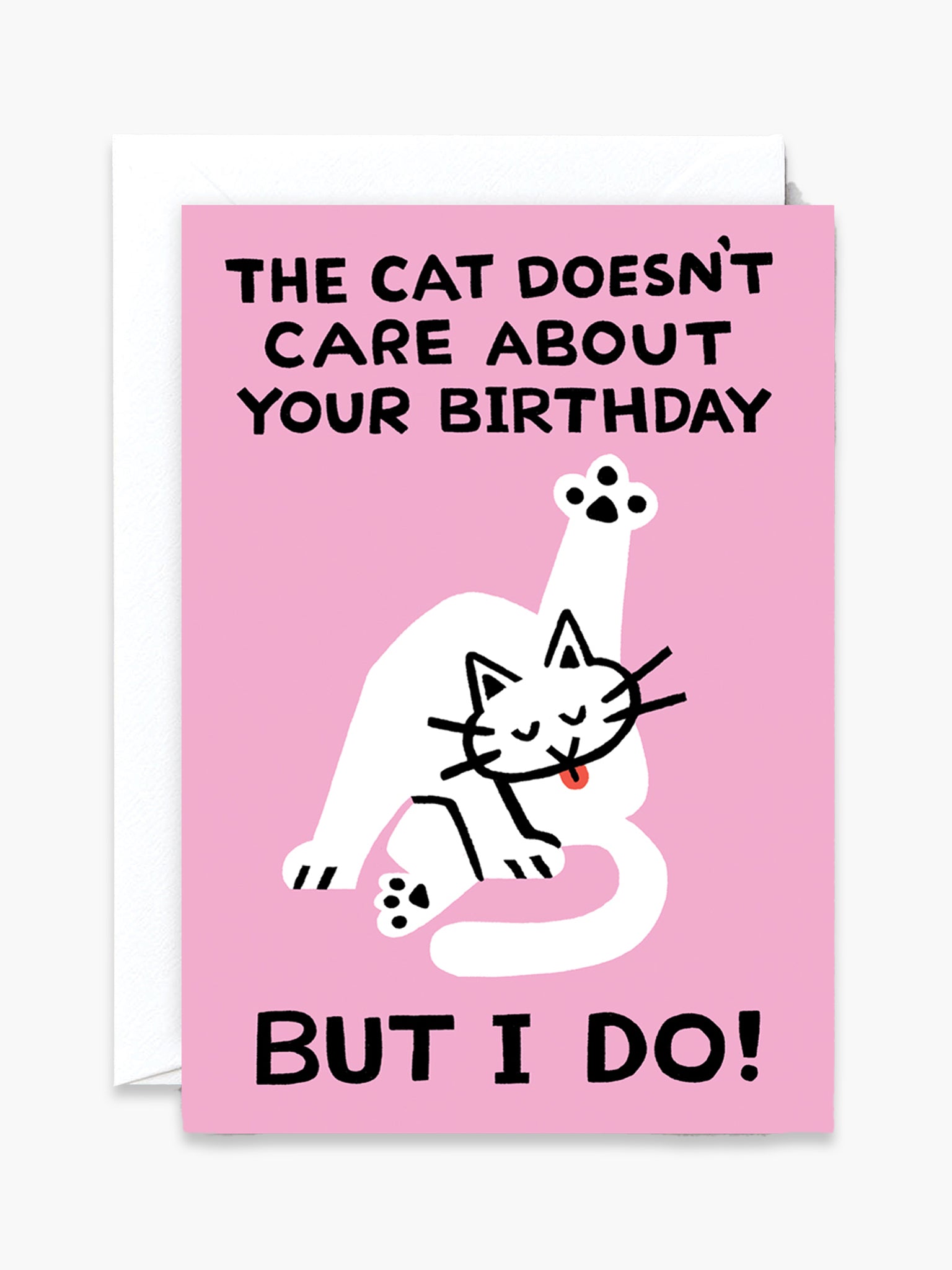 The Cat Doesn't Care Card x Cari Vander Yacht