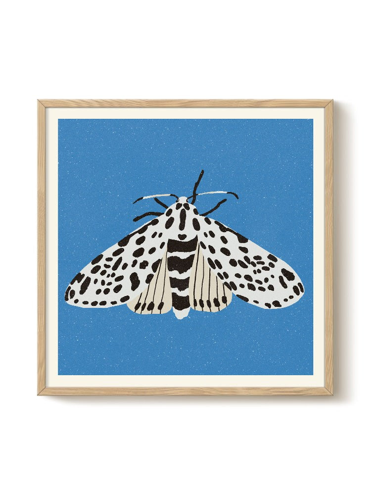 Tiger Moth by Eniko Eged (50x50cm)