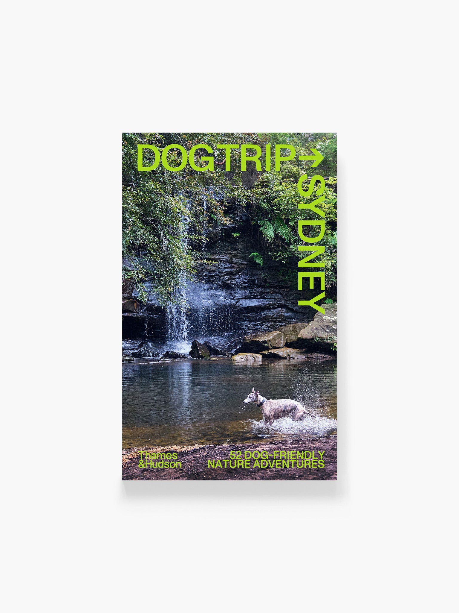 Dog Trip Sydney: 52 dog-friendly nature adventures
